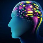 Tu patrón de actividad cerebral, clave para aprender rápido un segundo idioma