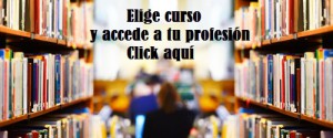 elegir_profesion