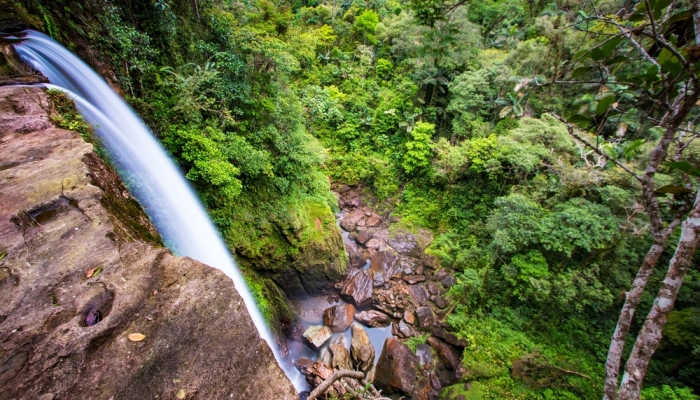 Voluntariado Amazonas