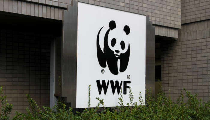Voluntariados de la WWF para latinoamericanos