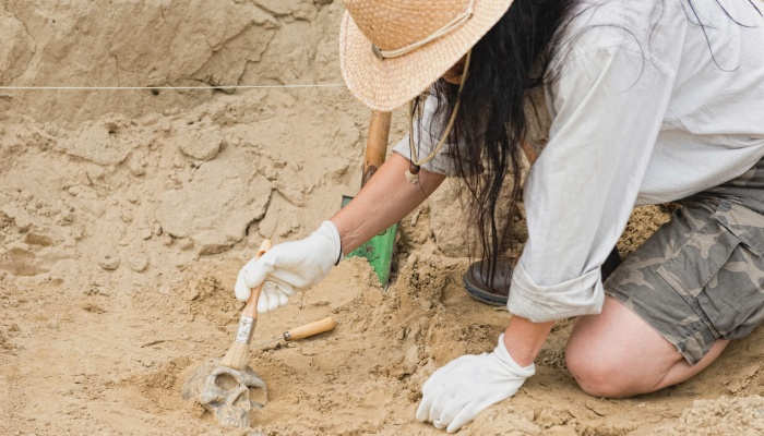 Oceanía testigo brazo Cómo ser arqueólogo: pasos y requisitos para lograrlo